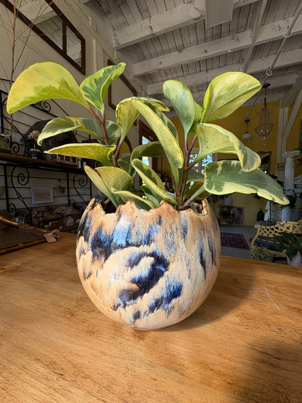 Vintage one of a kind pottery.