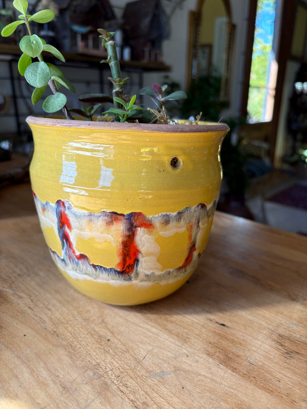 Ceramic plant pot