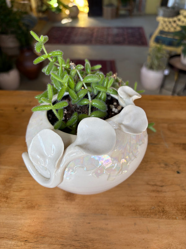 Decorative Iridescent planter