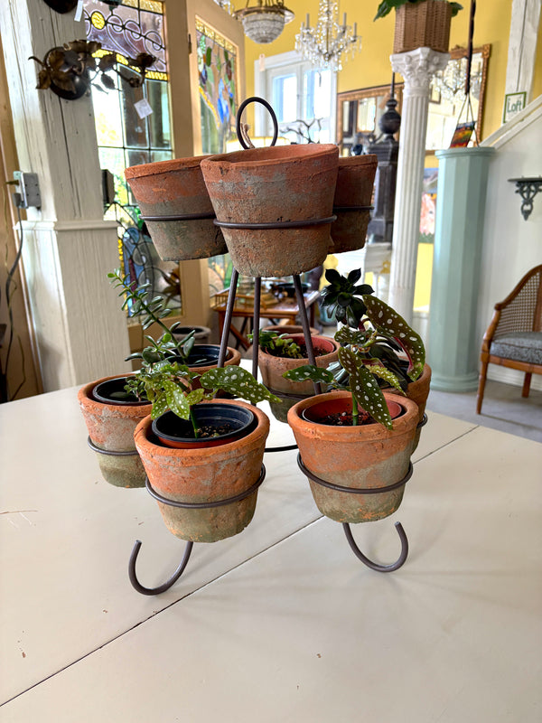 Two Tier wire Plant Stand with 9 Terra Cotta Pots