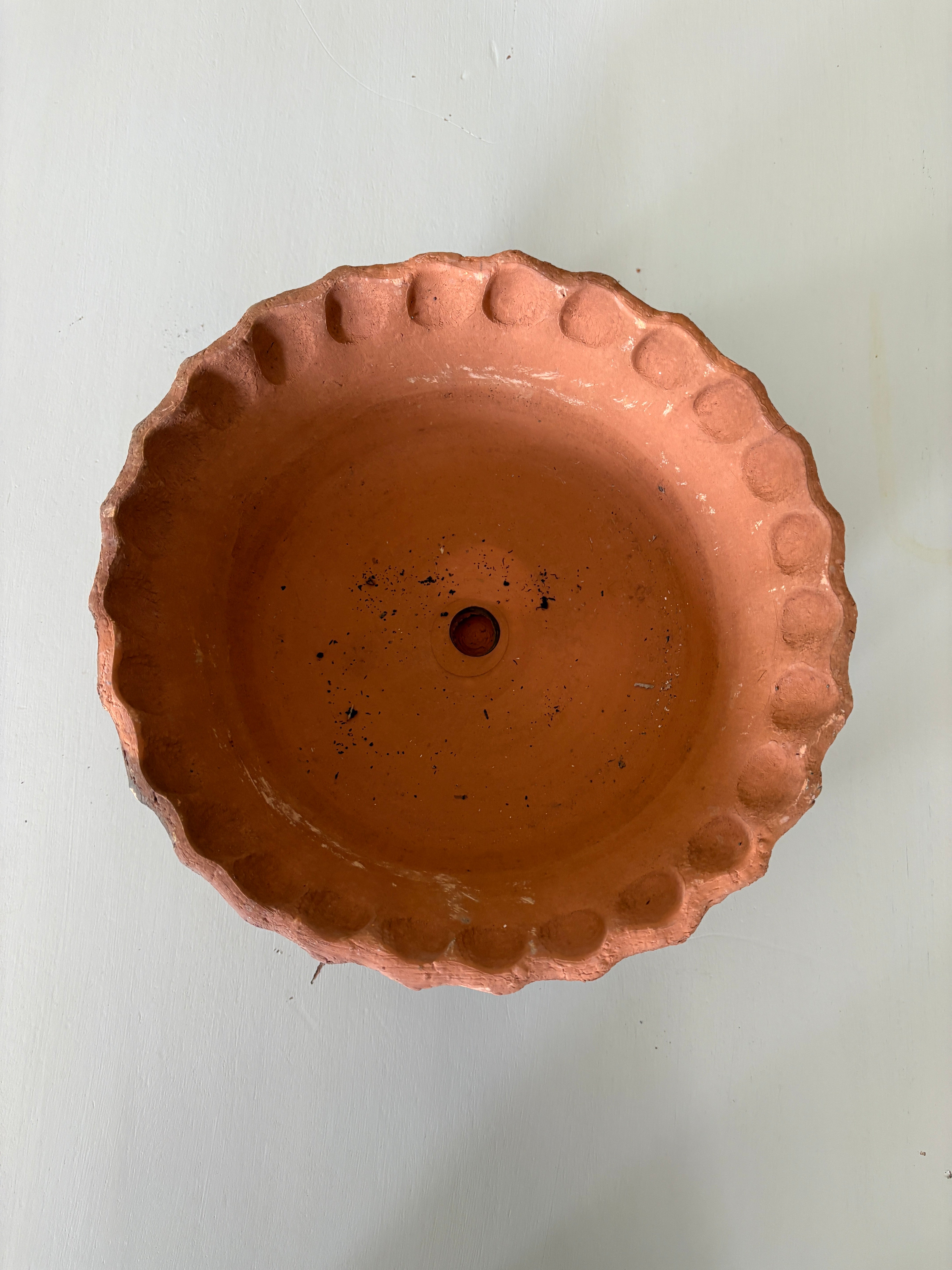 Frilly Edge Terra Cotta Dish Garden