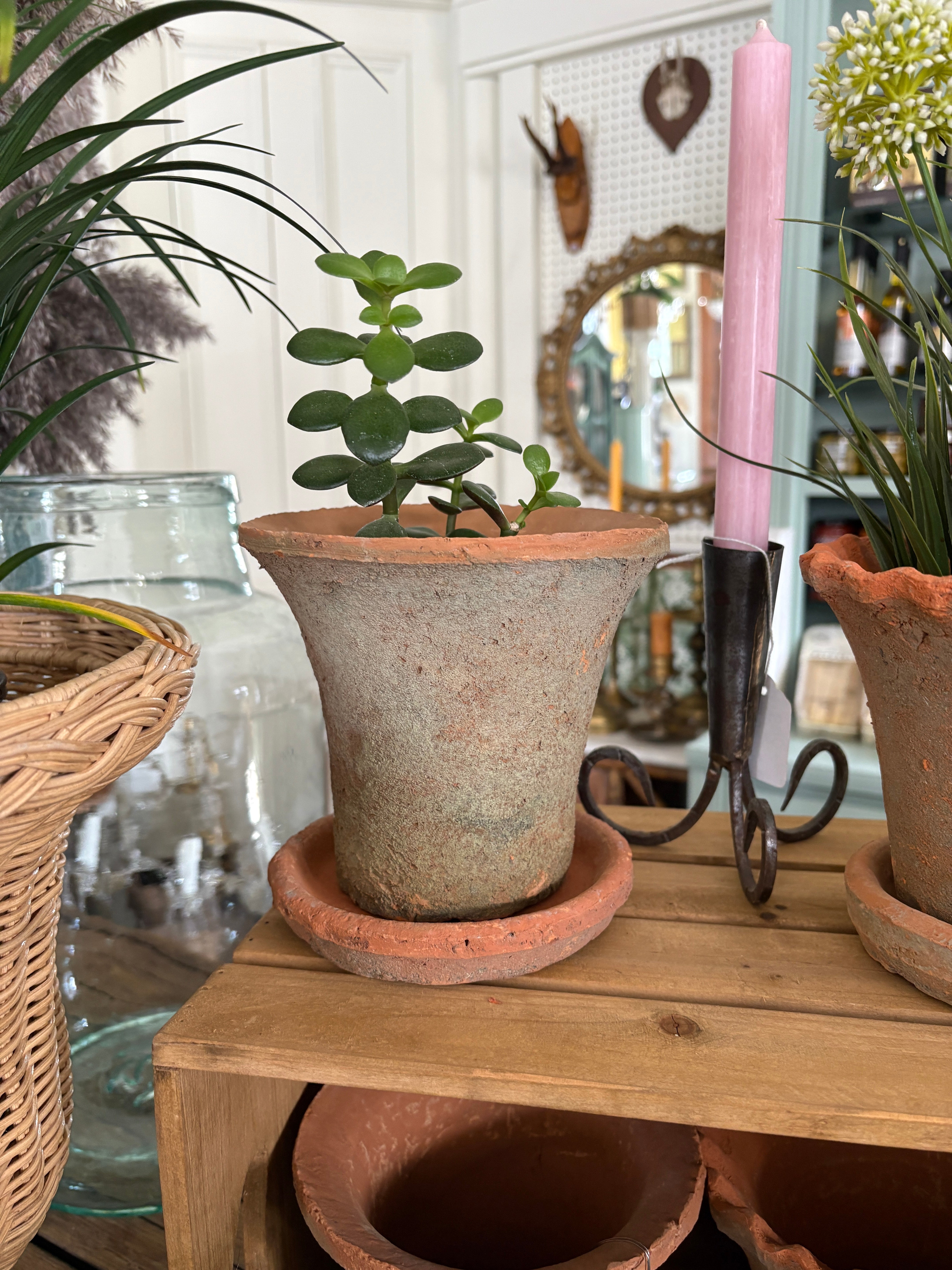 Terra Cotta Pot with Saucer
