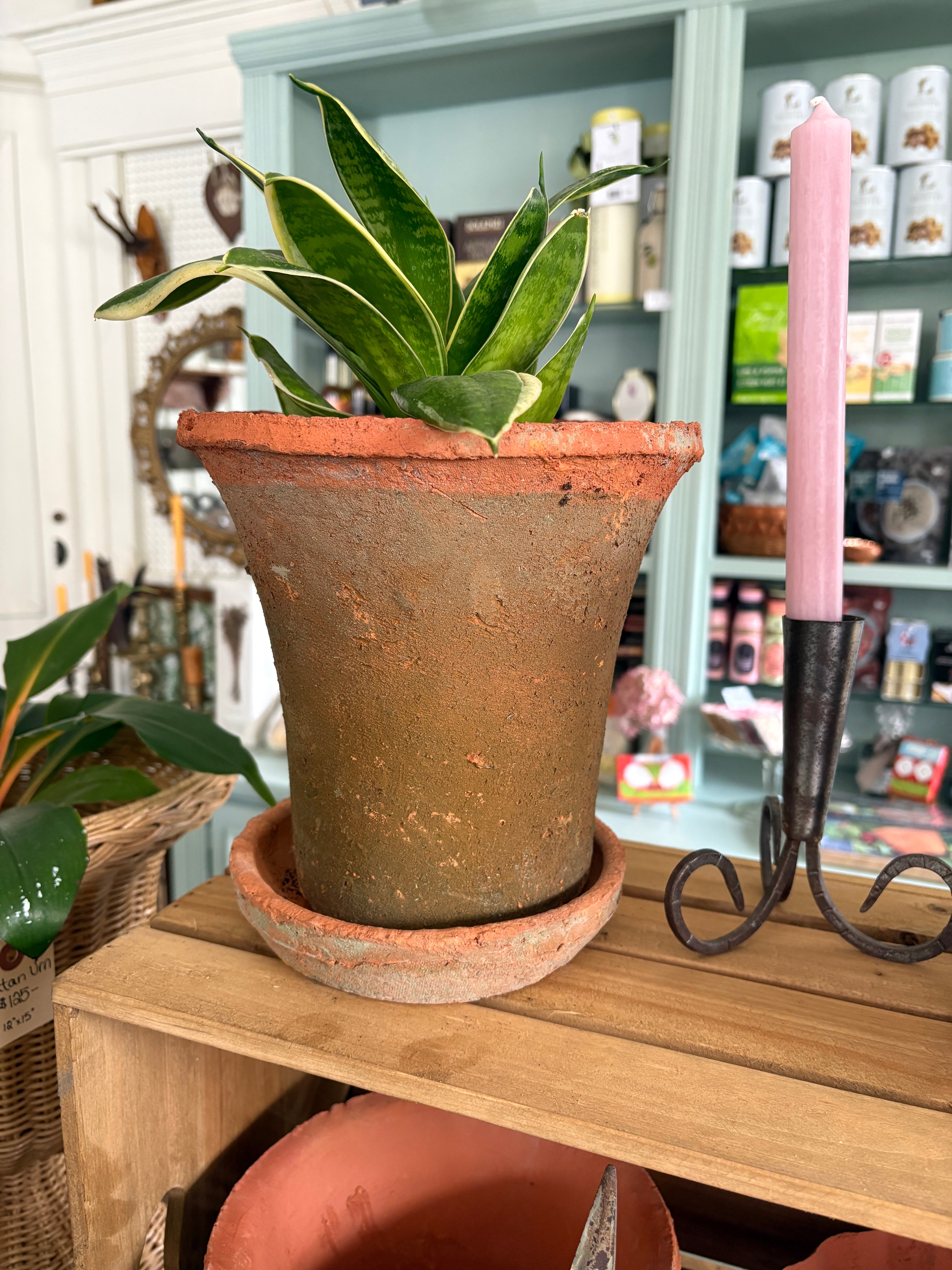 Aged Terra Cotta Pot and Saucer