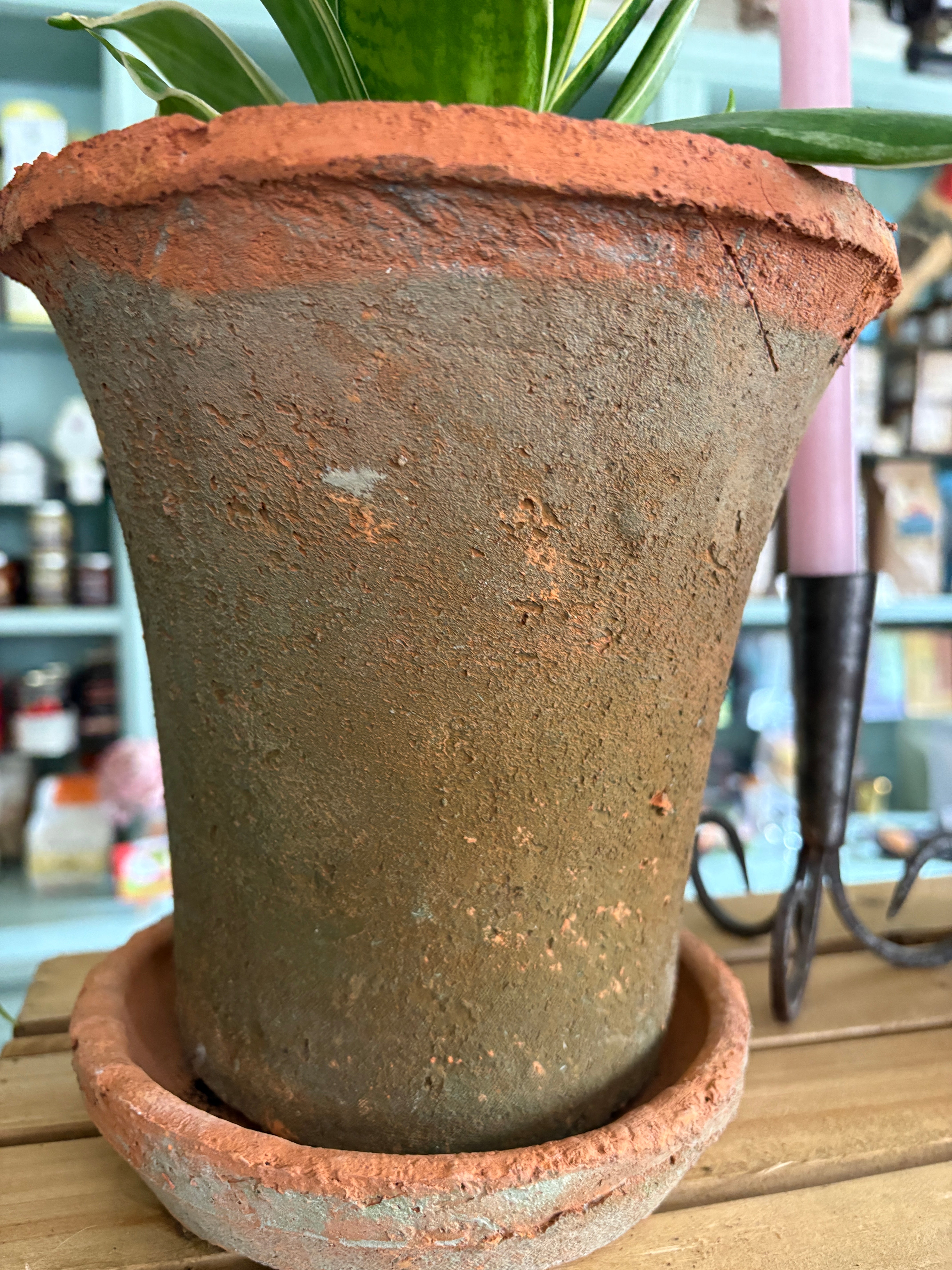 Aged Terra Cotta Pot and Saucer