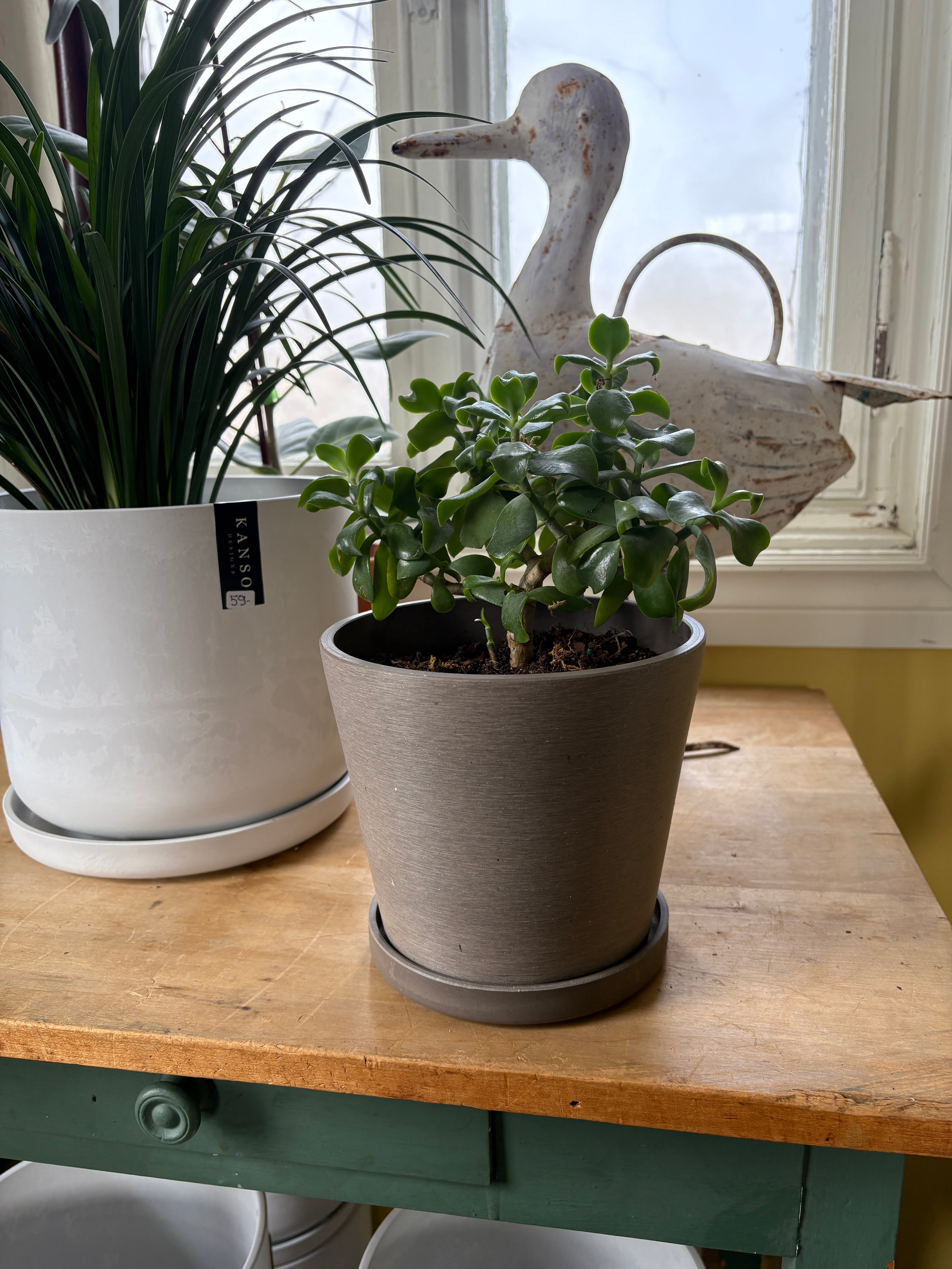 Kanso Designs Tapered Plant Pot & Saucer