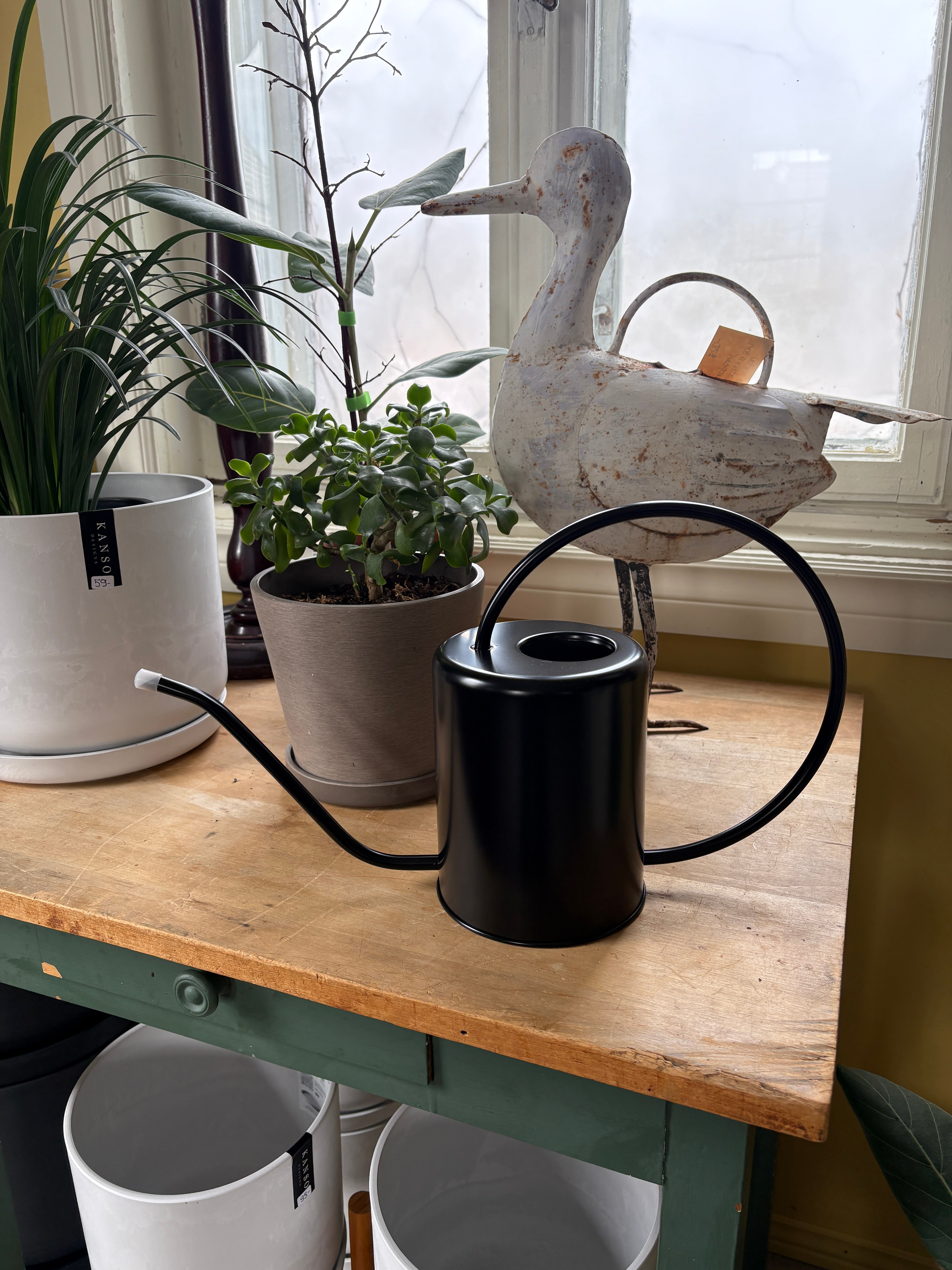 Kanso Stainless Steel Watering Can