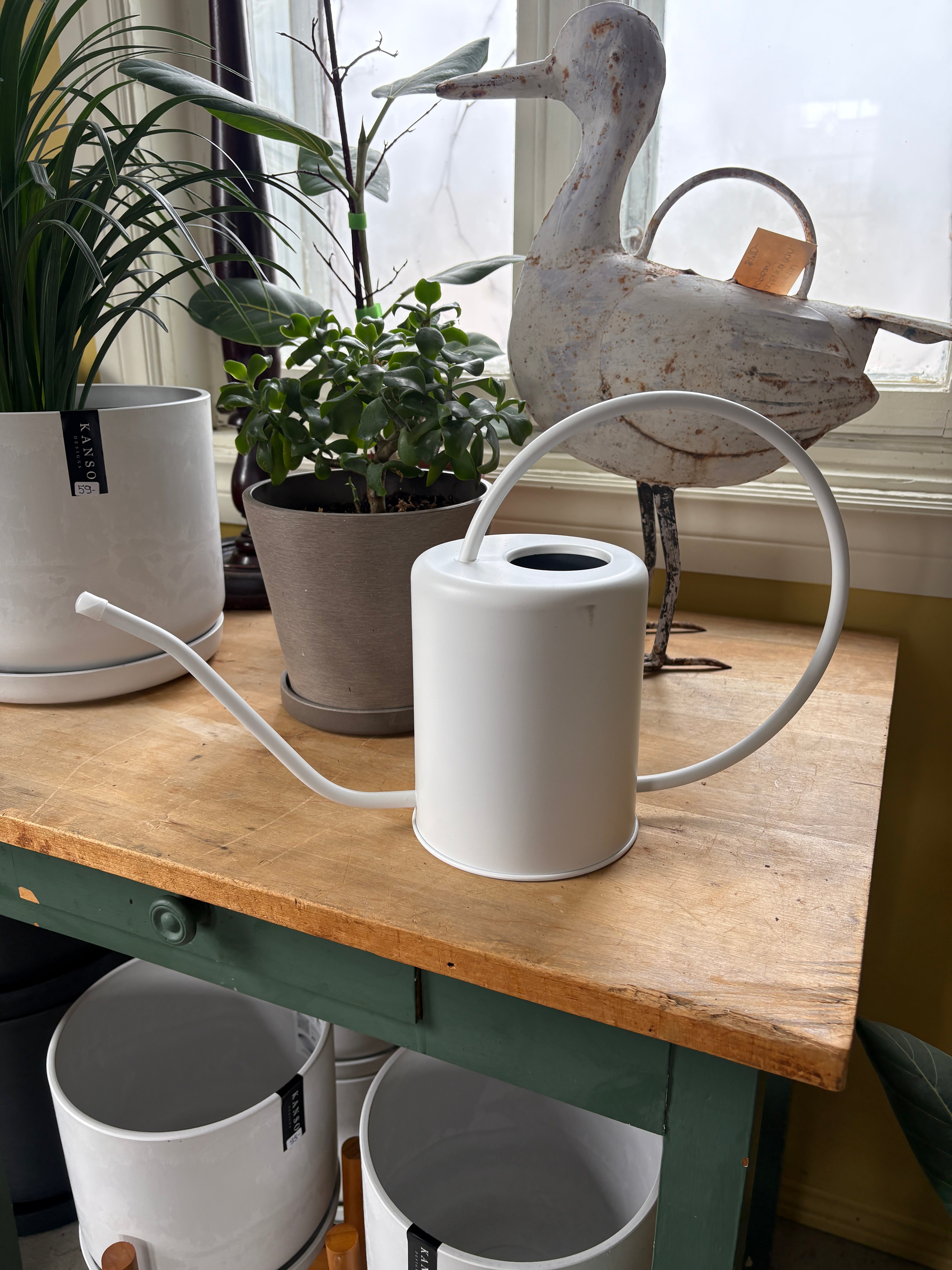 Kanso Stainless Steel Watering Can