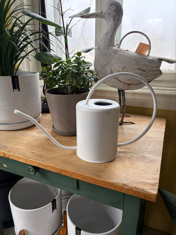 Kanso Stainless Steel Watering Can