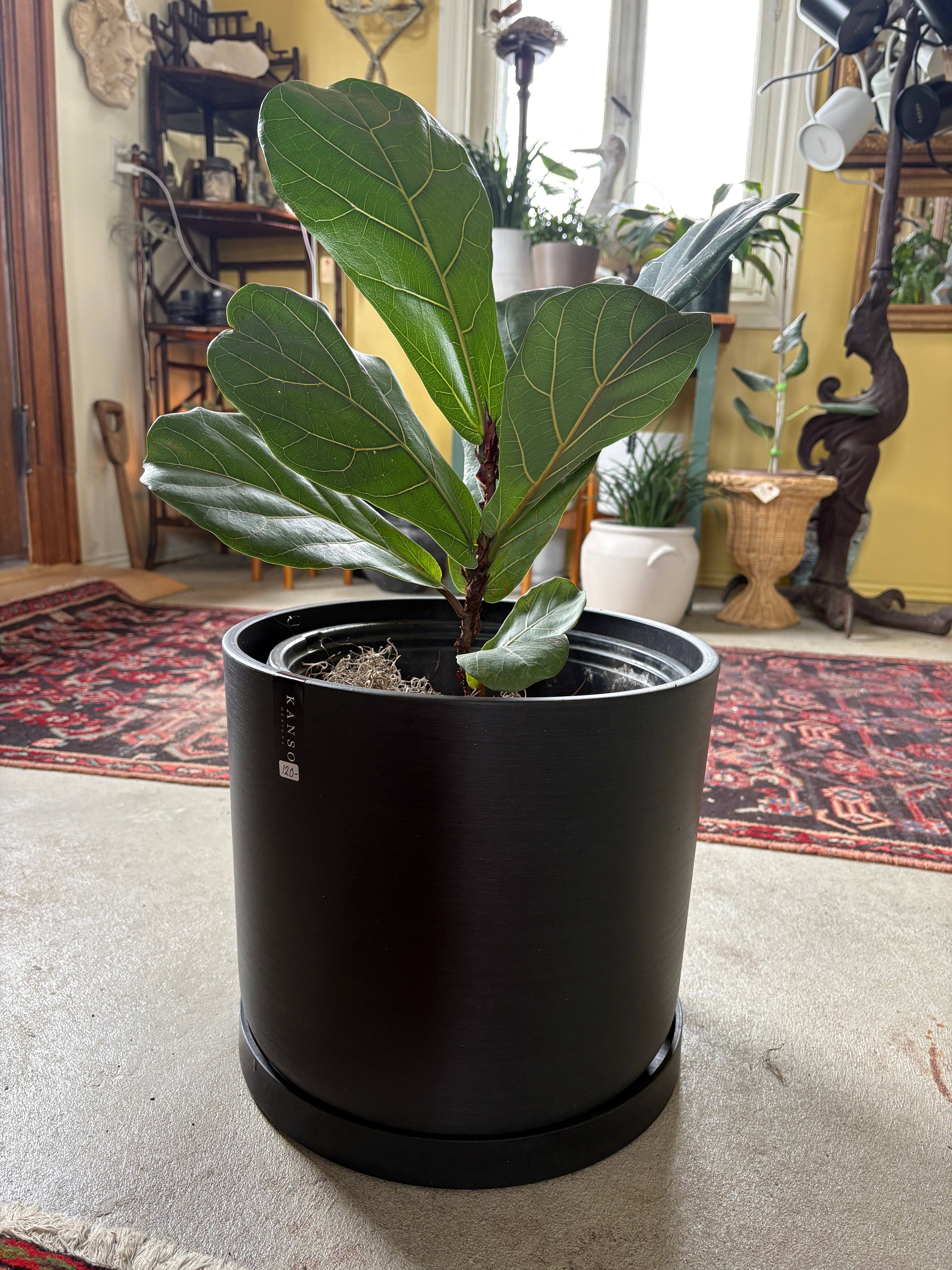 Kanso Designs Signature Stone Planter & Saucer