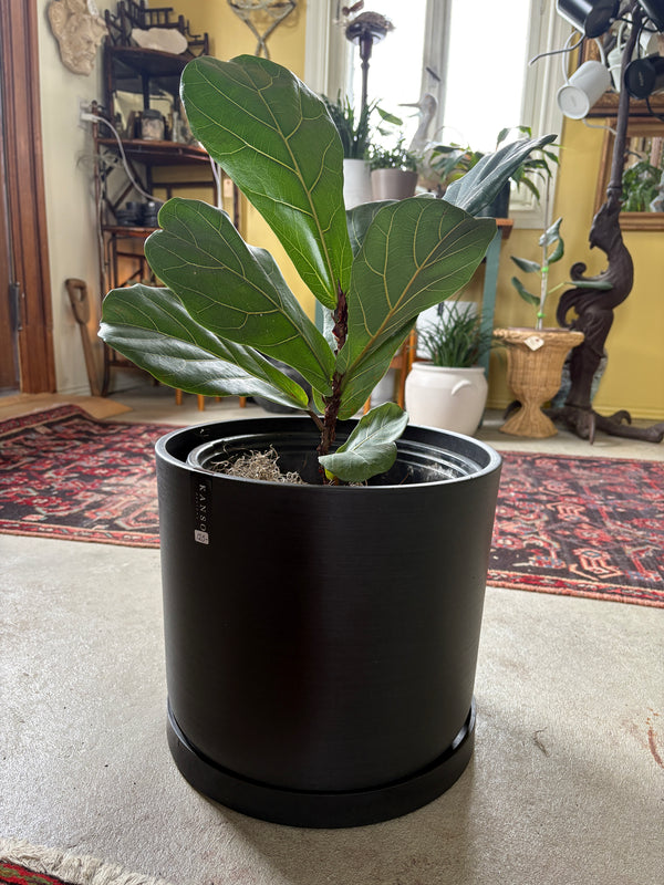Kanso Designs Signature Stone Planter & Saucer