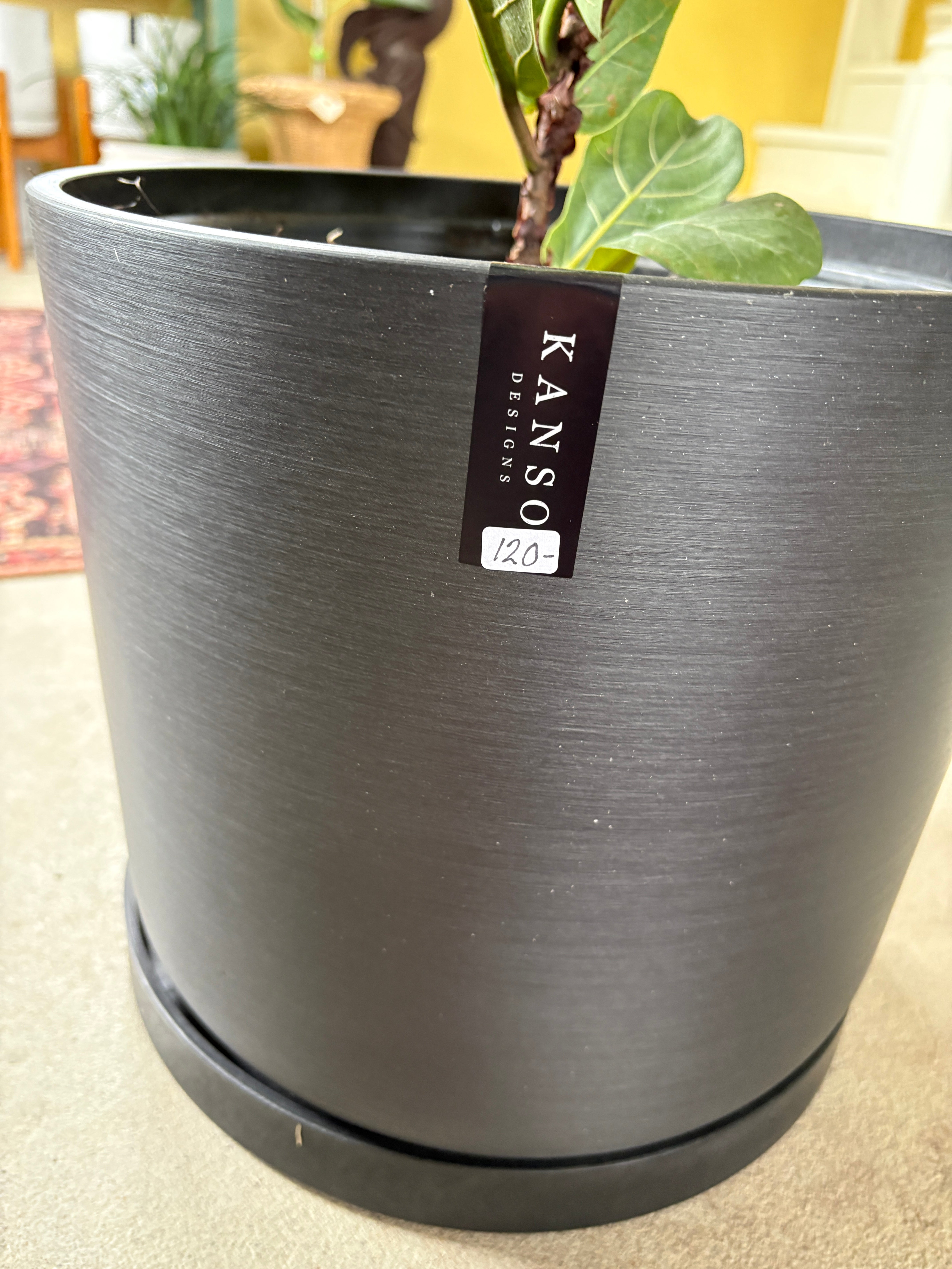 Kanso Designs Signature Stone Planter & Saucer