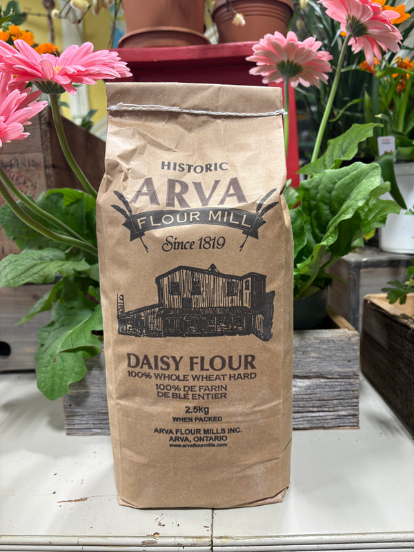 Arva Flour Mill 100% Wole Wheat Hard Flour