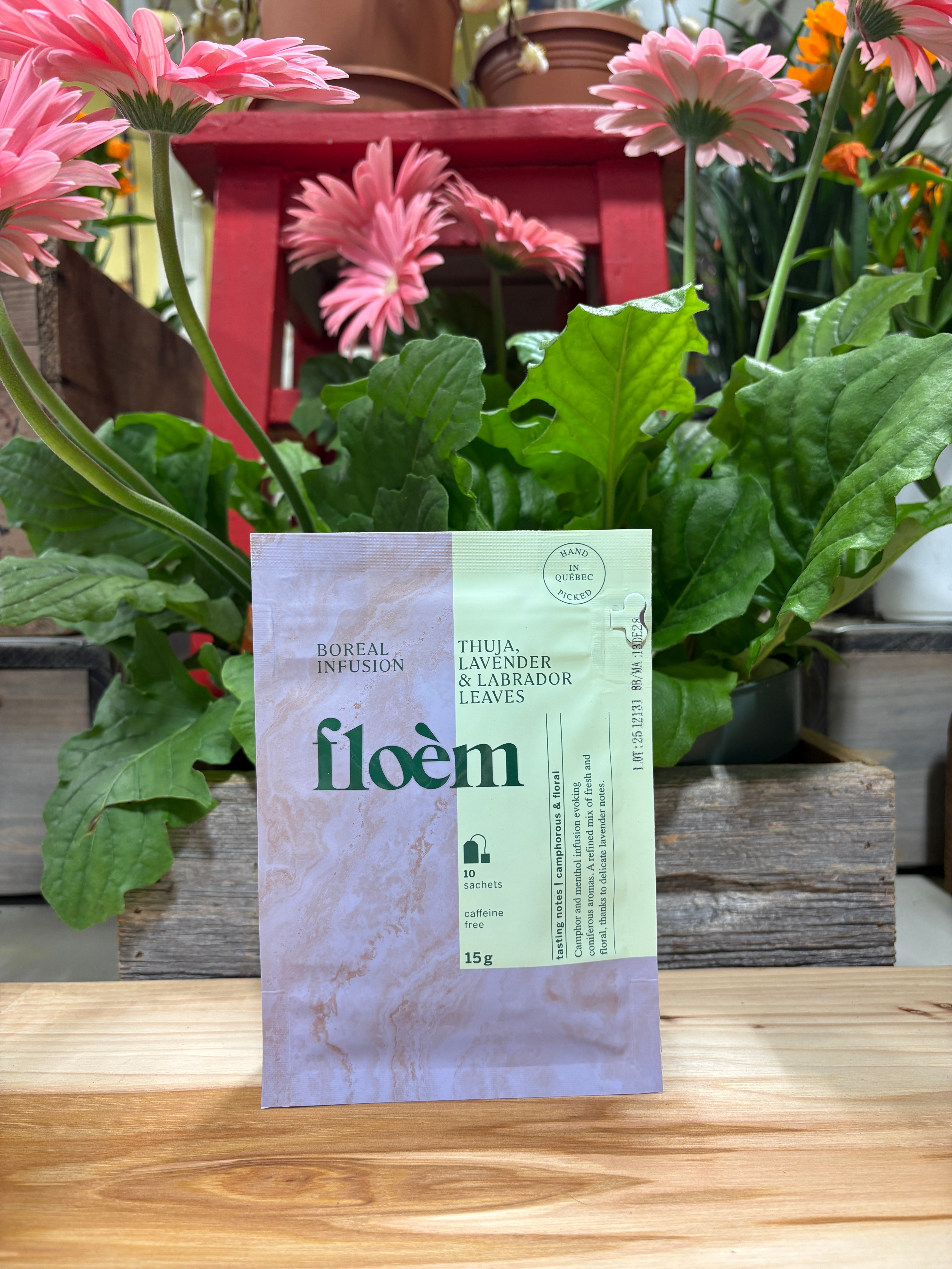 Floem Boreal Infusion Tea