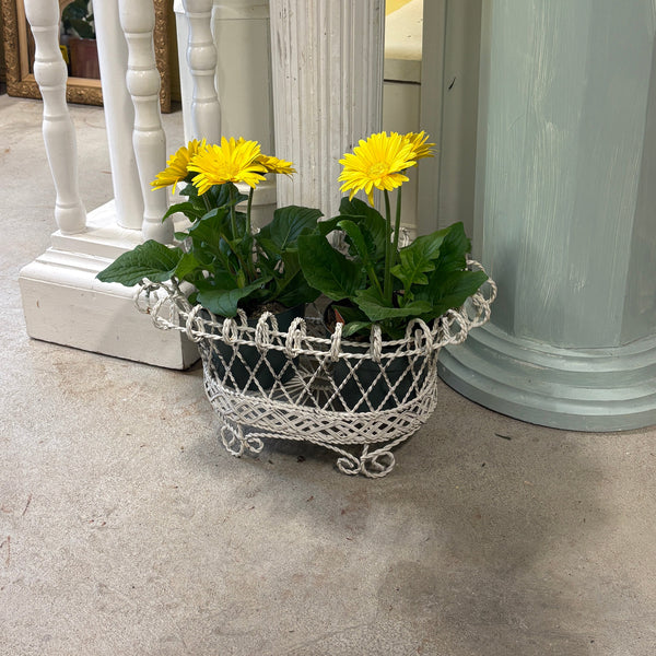Early wirework oval planter