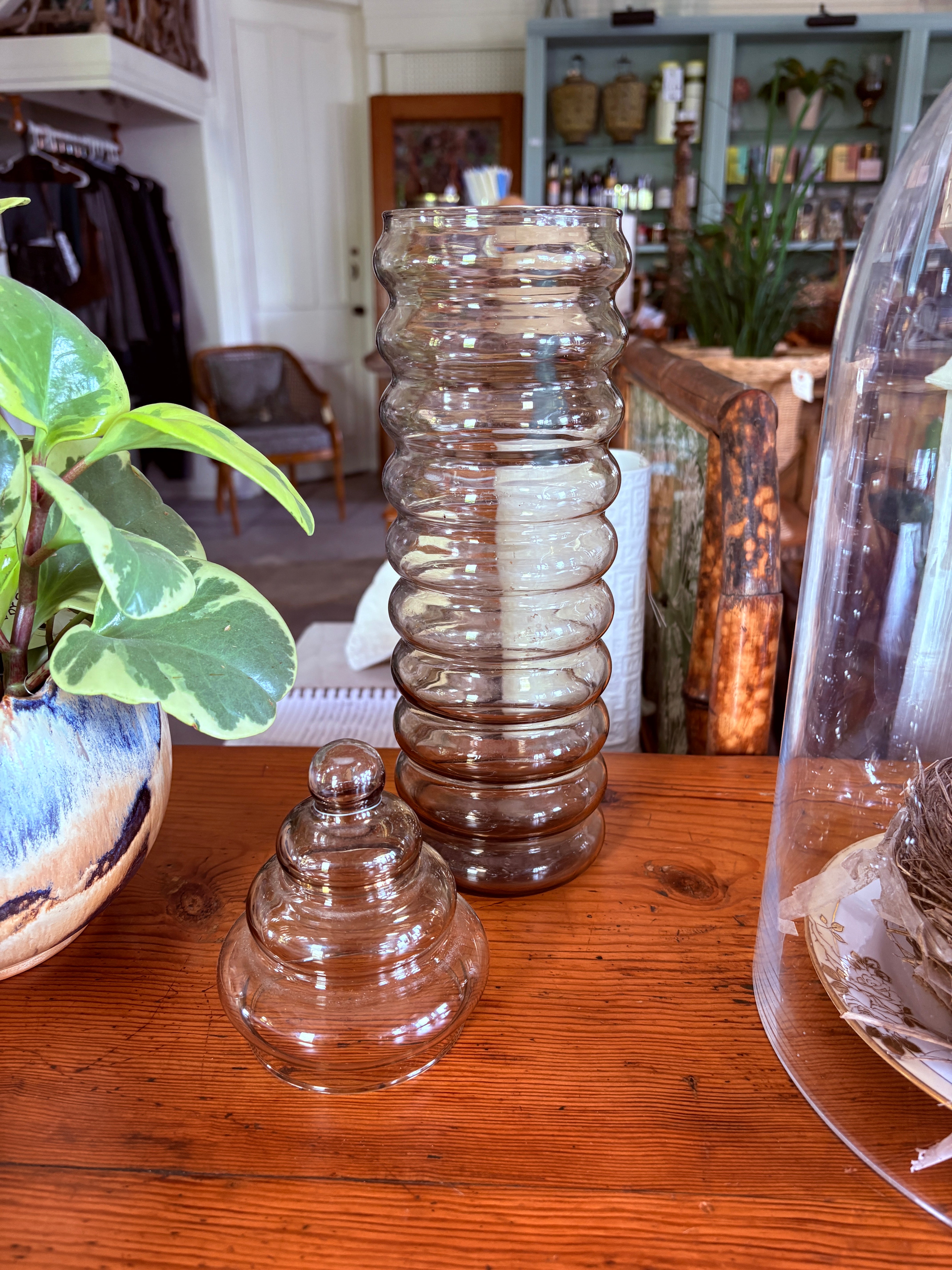 Vintage Objects & Curiosities