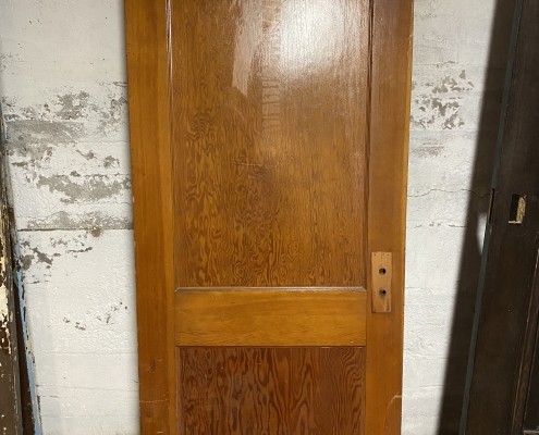 Antique 2 Panel Door