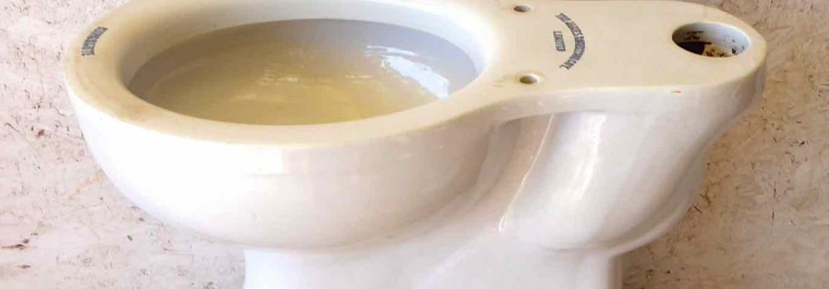 Antique porcelain toilet. Kingsmute model made by James Roberston Coy Company Limited. Prop rental only.